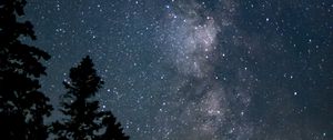 Preview wallpaper space, starry sky, trees, silhouette