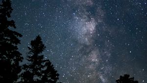 Preview wallpaper space, starry sky, trees, silhouette