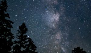 Preview wallpaper space, starry sky, trees, silhouette