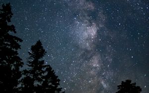 Preview wallpaper space, starry sky, trees, silhouette