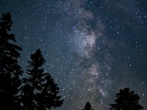 Preview wallpaper space, starry sky, trees, silhouette