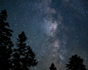 Preview wallpaper space, starry sky, trees, silhouette