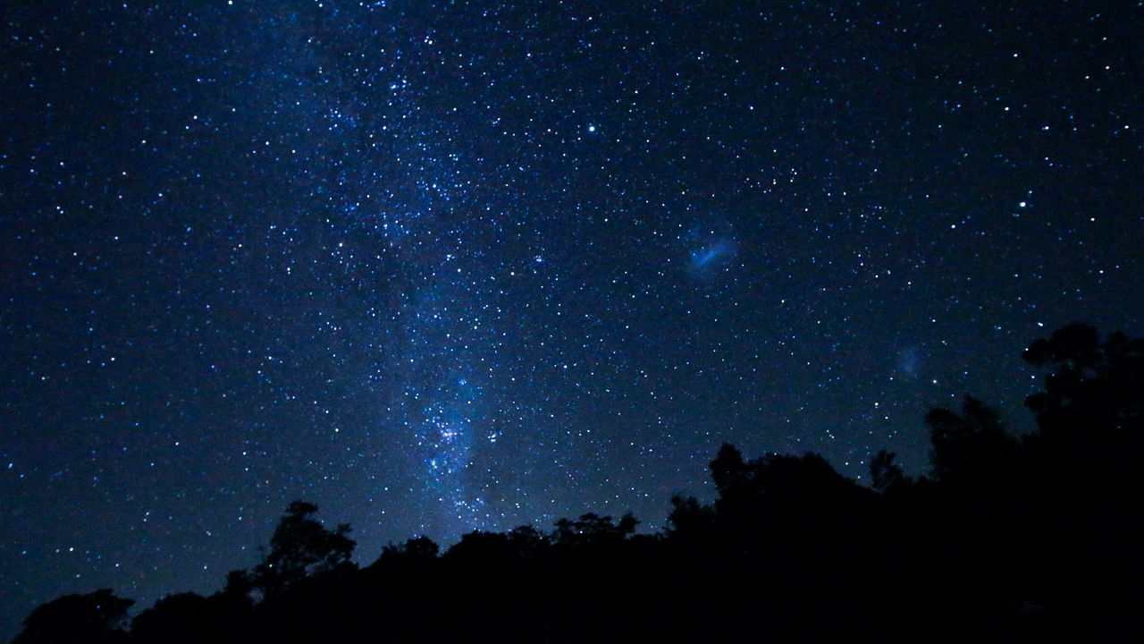 Wallpaper space, starry sky, trees, stars