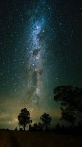 Preview wallpaper space, trees, starry sky