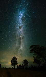 Preview wallpaper space, trees, starry sky