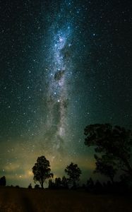 Preview wallpaper space, trees, starry sky