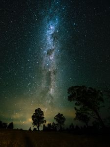 Preview wallpaper space, trees, starry sky