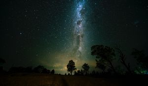 Preview wallpaper space, trees, starry sky