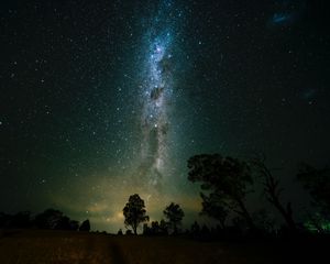 Preview wallpaper space, trees, starry sky