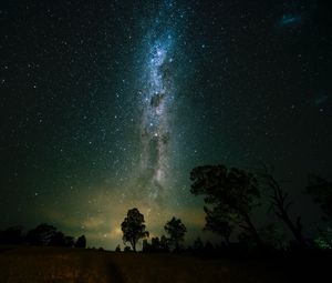 Preview wallpaper space, trees, starry sky