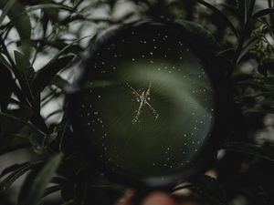 Preview wallpaper spider, cobweb, magnifier, hand, macro