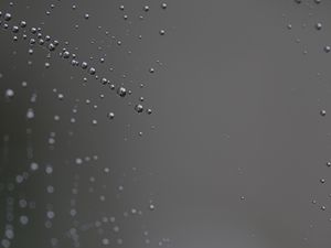 Preview wallpaper spider web, close-up, drop