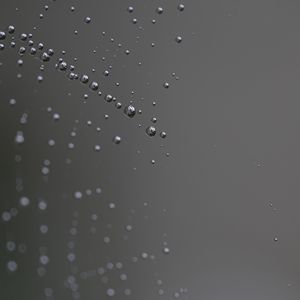 Preview wallpaper spider web, close-up, drop