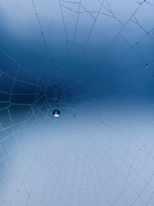 Preview wallpaper spider web, close-up, drops