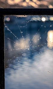 Preview wallpaper spider web, drops, macro