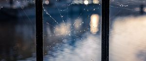 Preview wallpaper spider web, drops, macro