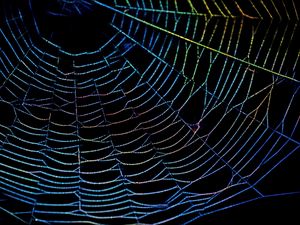 Preview wallpaper spider web, drops, multi-colored
