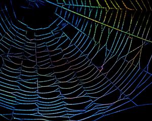 Preview wallpaper spider web, drops, multi-colored