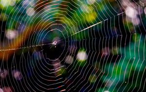 Preview wallpaper spider web, glare, network, braided