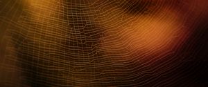 Preview wallpaper spider web, macro, blur