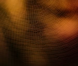 Preview wallpaper spider web, macro, blur