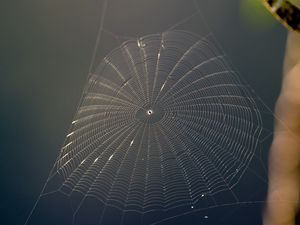 Preview wallpaper spider web, threads, macro, blur