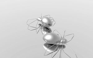 Preview wallpaper spiders, shape, silver, surface, reflection