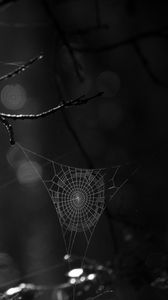 Preview wallpaper spiderweb, bw, dark, wicker, glare
