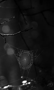 Preview wallpaper spiderweb, bw, dark, wicker, glare