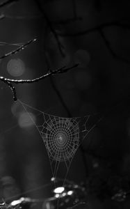 Preview wallpaper spiderweb, bw, dark, wicker, glare