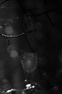 Preview wallpaper spiderweb, bw, dark, wicker, glare