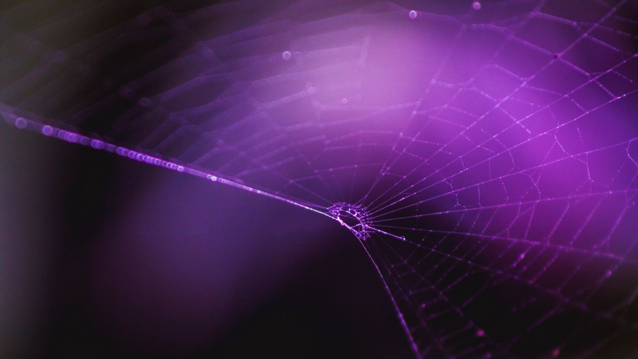 Wallpaper spiderweb, purple, weaving