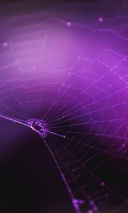 Preview wallpaper spiderweb, purple, weaving