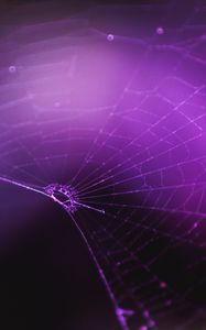 Preview wallpaper spiderweb, purple, weaving