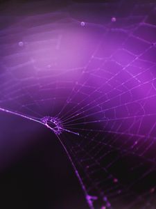 Preview wallpaper spiderweb, purple, weaving