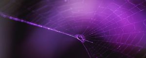 Preview wallpaper spiderweb, purple, weaving
