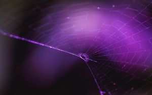 Preview wallpaper spiderweb, purple, weaving