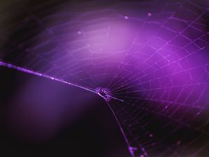 Preview wallpaper spiderweb, purple, weaving