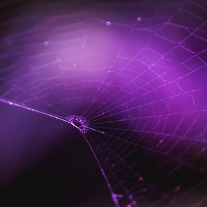 Preview wallpaper spiderweb, purple, weaving