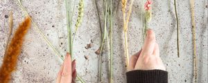 Preview wallpaper spikelets, flowers, hands, bouquet