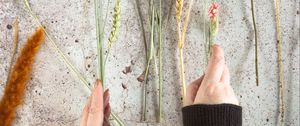 Preview wallpaper spikelets, flowers, hands, bouquet