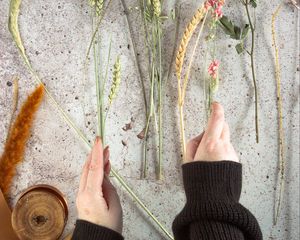 Preview wallpaper spikelets, flowers, hands, bouquet