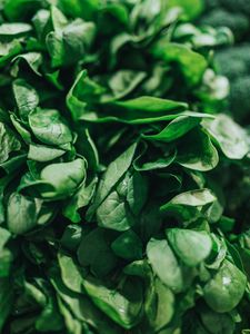 Preview wallpaper spinach, leaves, green, macro