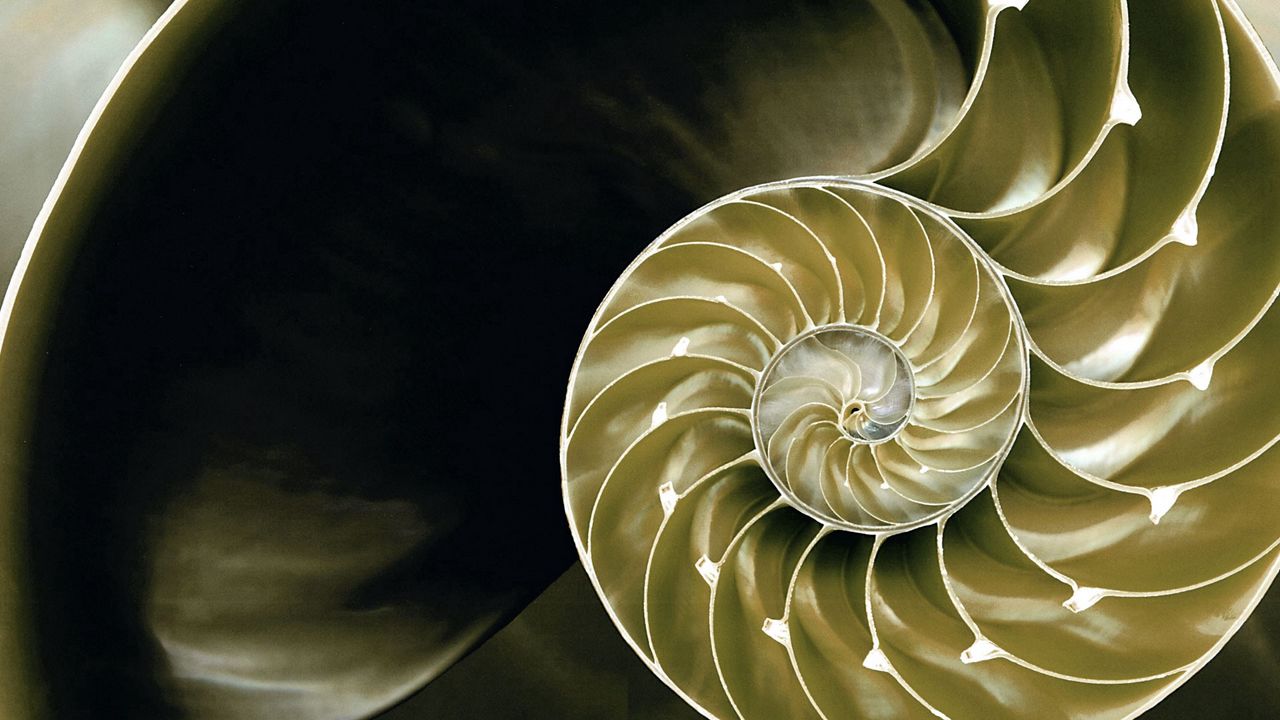 Wallpaper spiral, background, plexus, light
