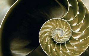 Preview wallpaper spiral, background, plexus, light