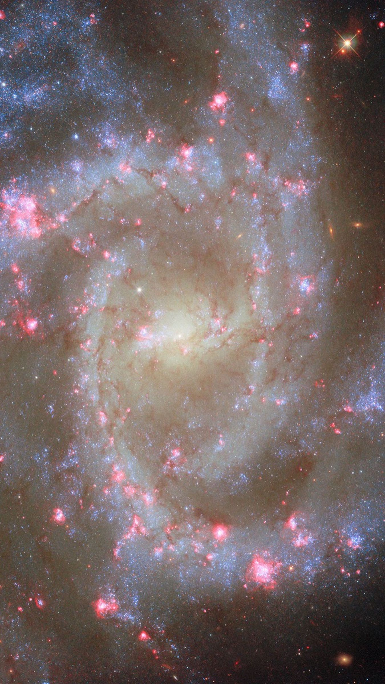 1350x2400 Wallpaper spiral galaxy, stars, nebulae, glitter, space