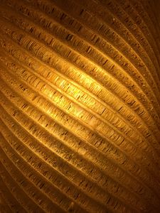 Preview wallpaper spiral, gold, surface, texture