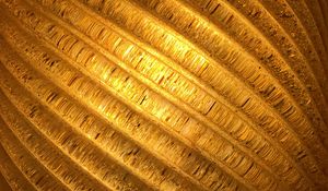 Preview wallpaper spiral, gold, surface, texture