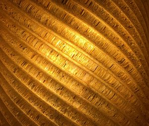 Preview wallpaper spiral, gold, surface, texture