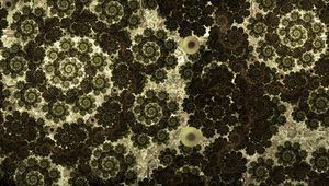 Preview wallpaper spirals, patterns, shapes, abstraction